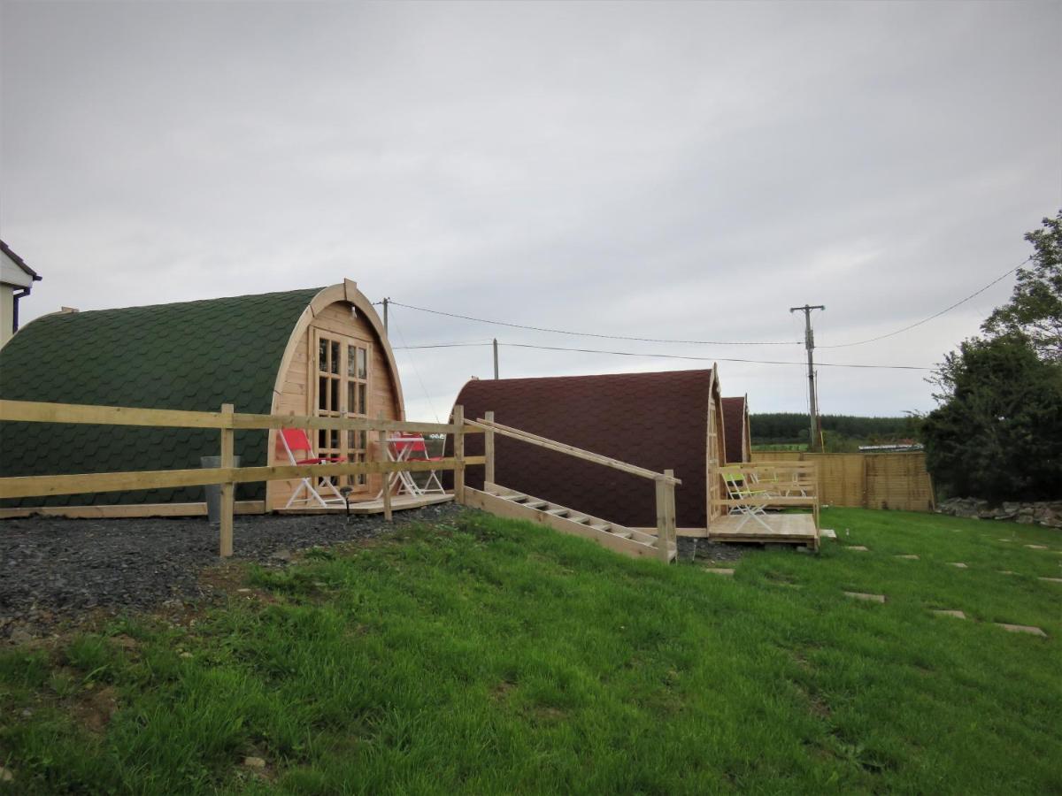 Shannon Estuary Glamping Effernan Luaran gambar