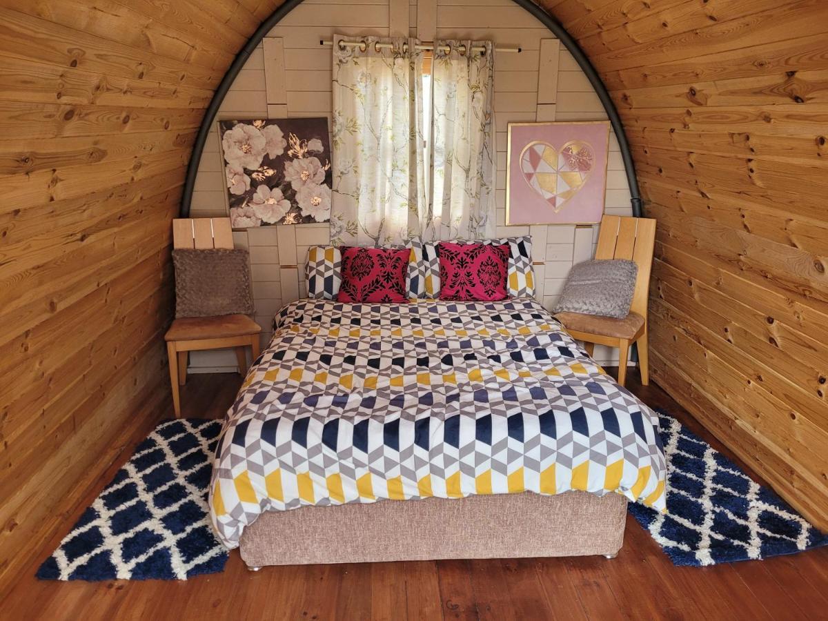 Shannon Estuary Glamping Effernan Luaran gambar