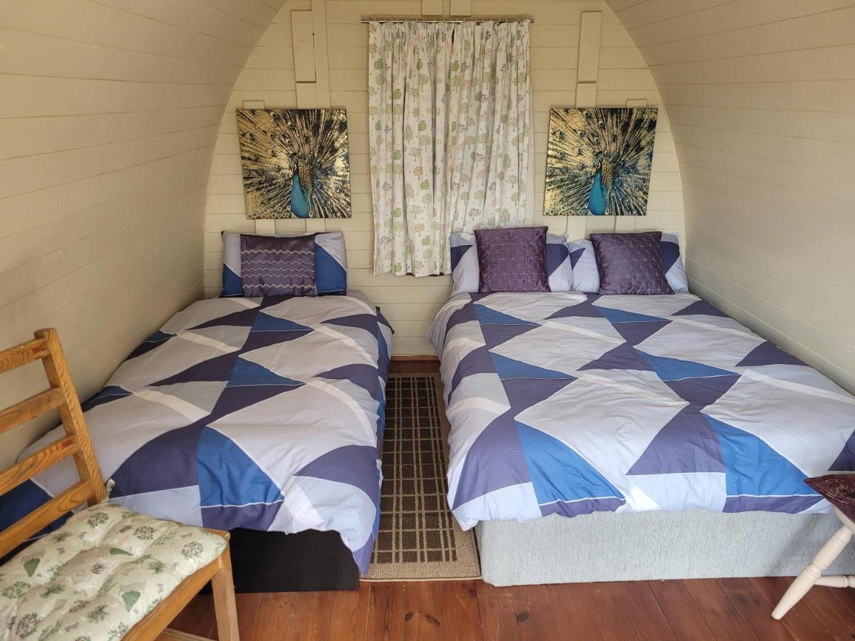 Shannon Estuary Glamping Effernan Luaran gambar