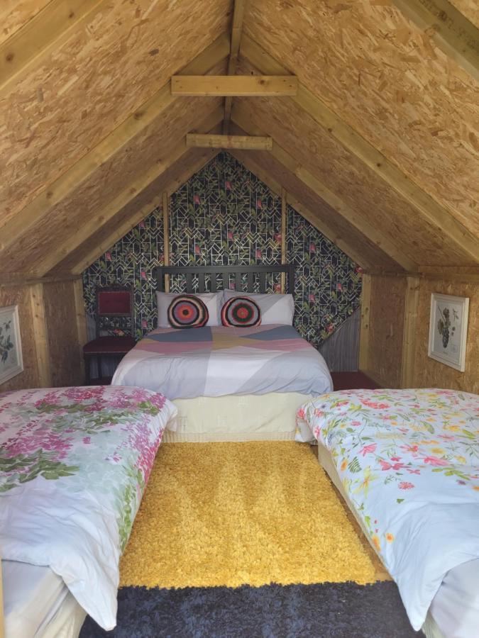 Shannon Estuary Glamping Effernan Luaran gambar