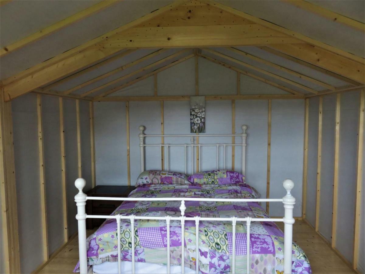 Shannon Estuary Glamping Effernan Luaran gambar