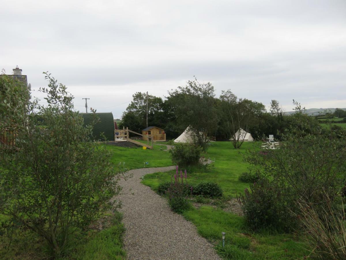 Shannon Estuary Glamping Effernan Luaran gambar