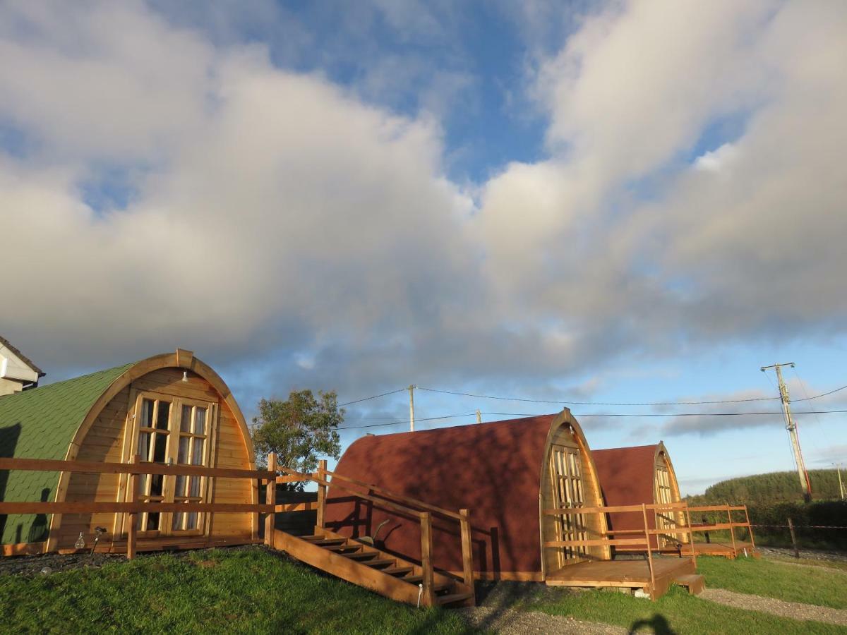 Shannon Estuary Glamping Effernan Luaran gambar