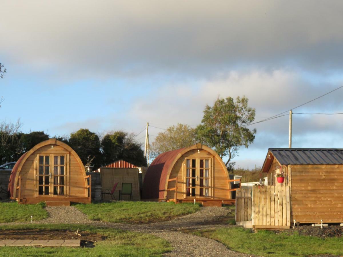 Shannon Estuary Glamping Effernan Luaran gambar