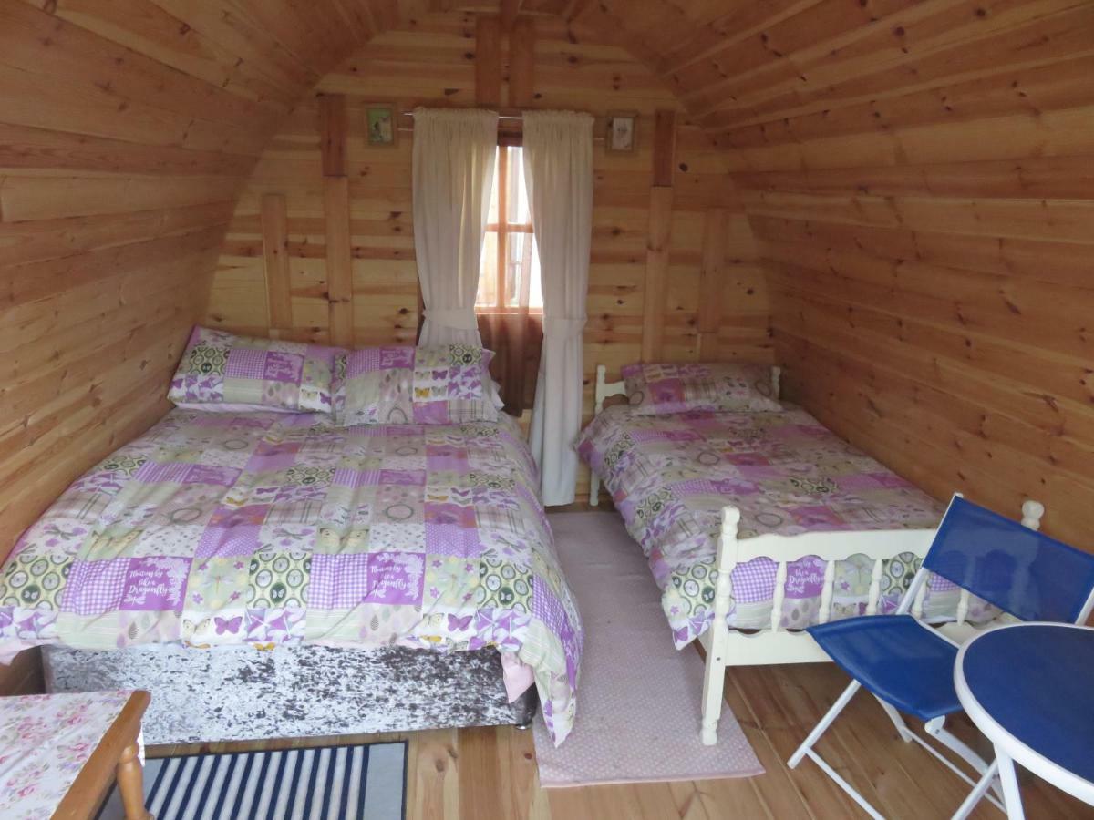 Shannon Estuary Glamping Effernan Luaran gambar