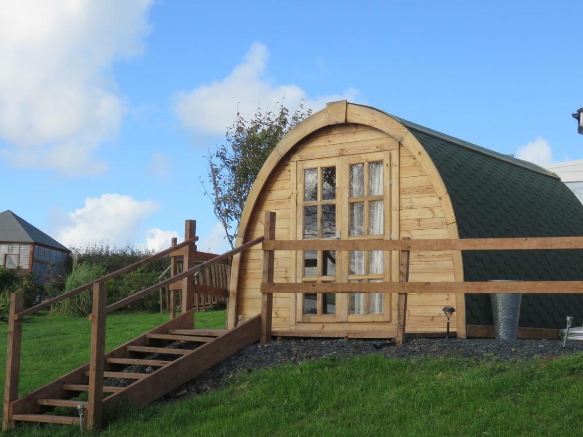 Shannon Estuary Glamping Effernan Luaran gambar