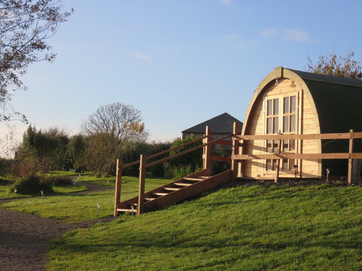 Shannon Estuary Glamping Effernan Luaran gambar